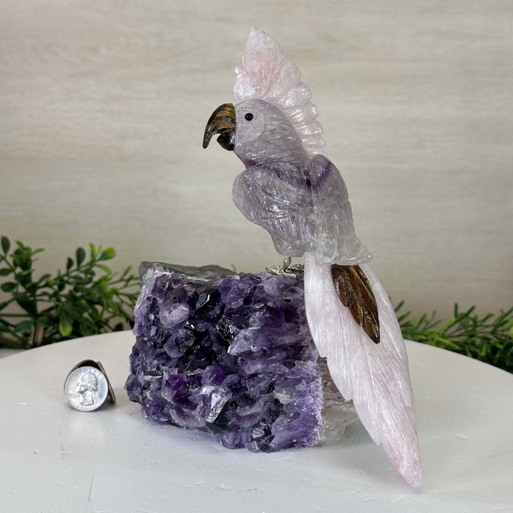 Large Hand - Carved Amethyst Cockatoo on an Amethyst Base, 8.1" Tall #3004 - AMCAM - 030 - Brazil GemsBrazil GemsLarge Hand - Carved Amethyst Cockatoo on an Amethyst Base, 8.1" Tall #3004 - AMCAM - 030Crystal Birds3004 - AMCAM - 030