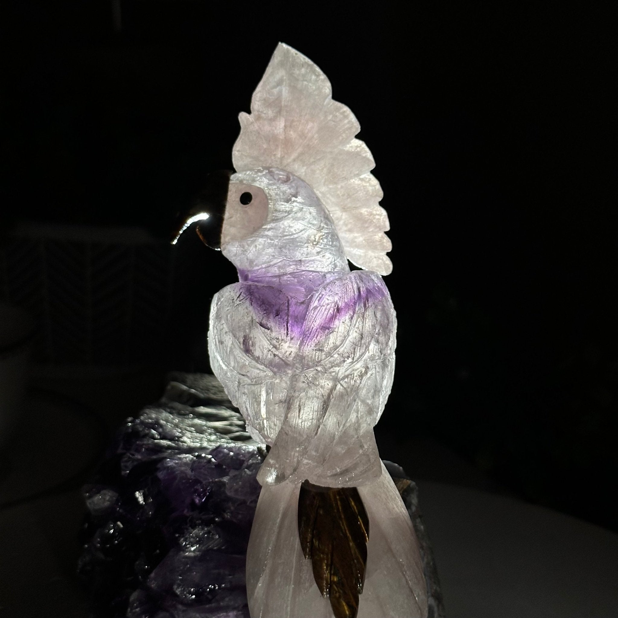 Large Hand - Carved Amethyst Cockatoo on an Amethyst Base, 8.1" Tall #3004 - AMCAM - 030 - Brazil GemsBrazil GemsLarge Hand - Carved Amethyst Cockatoo on an Amethyst Base, 8.1" Tall #3004 - AMCAM - 030Crystal Birds3004 - AMCAM - 030