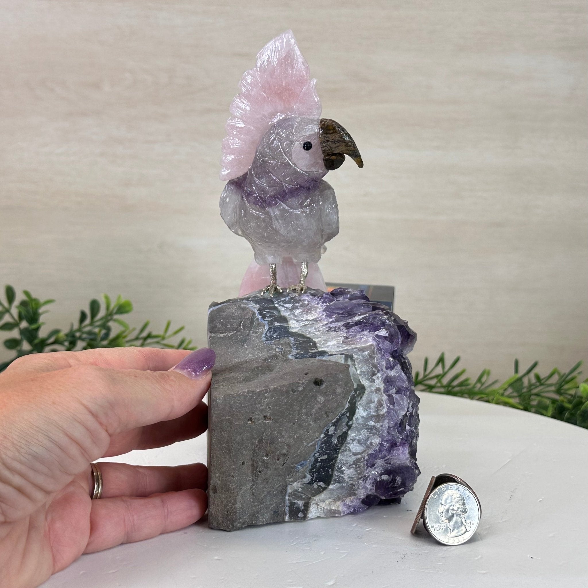 Large Hand - Carved Amethyst Cockatoo on an Amethyst Base, 8.1" Tall #3004 - AMCAM - 030 - Brazil GemsBrazil GemsLarge Hand - Carved Amethyst Cockatoo on an Amethyst Base, 8.1" Tall #3004 - AMCAM - 030Crystal Birds3004 - AMCAM - 030