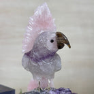 Large Hand - Carved Amethyst Cockatoo on an Amethyst Base, 8.1" Tall #3004 - AMCAM - 030 - Brazil GemsBrazil GemsLarge Hand - Carved Amethyst Cockatoo on an Amethyst Base, 8.1" Tall #3004 - AMCAM - 030Crystal Birds3004 - AMCAM - 030