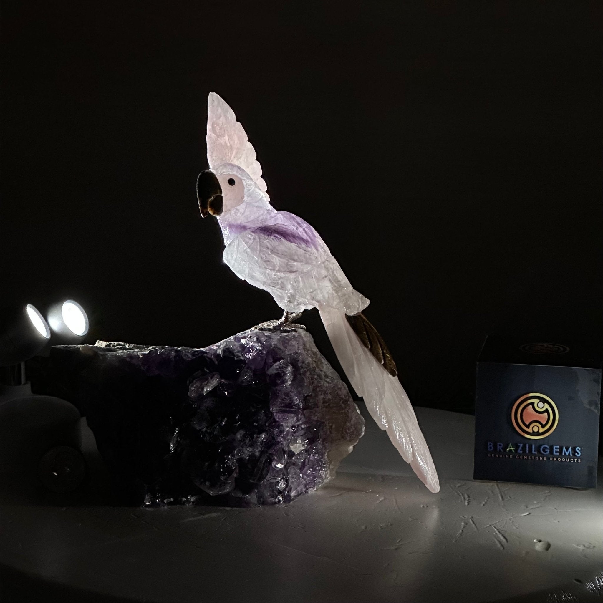 Large Hand - Carved Amethyst Cockatoo on an Amethyst Base, 8.1" Tall #3004 - AMCAM - 030 - Brazil GemsBrazil GemsLarge Hand - Carved Amethyst Cockatoo on an Amethyst Base, 8.1" Tall #3004 - AMCAM - 030Crystal Birds3004 - AMCAM - 030