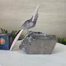 Large Hand - Carved Amethyst Cockatoo on an Amethyst Base, 8.1" Tall #3004 - AMCAM - 030 - Brazil GemsBrazil GemsLarge Hand - Carved Amethyst Cockatoo on an Amethyst Base, 8.1" Tall #3004 - AMCAM - 030Crystal Birds3004 - AMCAM - 030