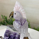 Large Hand - Carved Amethyst Cockatoo on an Amethyst Base, 8.1" Tall #3004 - AMCAM - 030 - Brazil GemsBrazil GemsLarge Hand - Carved Amethyst Cockatoo on an Amethyst Base, 8.1" Tall #3004 - AMCAM - 030Crystal Birds3004 - AMCAM - 030