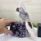 Large Hand - Carved Amethyst Cockatoo on an Amethyst Base, 8.1" Tall #3004 - AMCAM - 030 - Brazil GemsBrazil GemsLarge Hand - Carved Amethyst Cockatoo on an Amethyst Base, 8.1" Tall #3004 - AMCAM - 030Crystal Birds3004 - AMCAM - 030