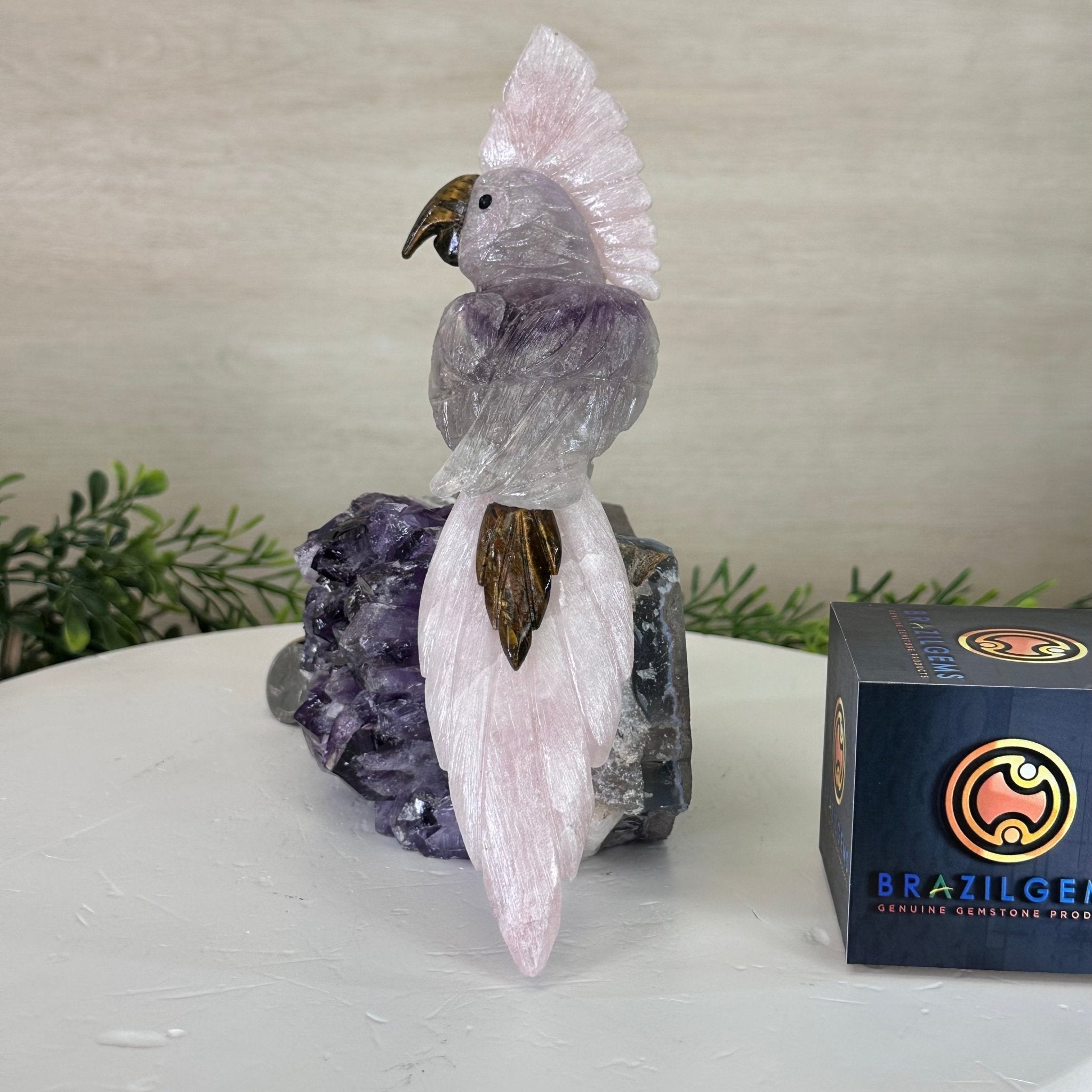 Large Hand - Carved Amethyst Cockatoo on an Amethyst Base, 8.1" Tall #3004 - AMCAM - 030 - Brazil GemsBrazil GemsLarge Hand - Carved Amethyst Cockatoo on an Amethyst Base, 8.1" Tall #3004 - AMCAM - 030Crystal Birds3004 - AMCAM - 030