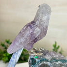 Large Hand - Carved Amethyst Parrot 7.5" Long on an Amethyst Cluster, #3004 - AMPAM - 011 - Brazil GemsBrazil GemsLarge Hand - Carved Amethyst Parrot 7.5" Long on an Amethyst Cluster, #3004 - AMPAM - 011Crystal Birds3004 - AMPAM - 011