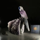 Large Hand - Carved Amethyst Parrot 7.5" Long on an Amethyst Cluster, #3004 - AMPAM - 011 - Brazil GemsBrazil GemsLarge Hand - Carved Amethyst Parrot 7.5" Long on an Amethyst Cluster, #3004 - AMPAM - 011Crystal Birds3004 - AMPAM - 011