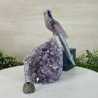 Large Hand - Carved Amethyst Parrot 7.5" Long on an Amethyst Cluster, #3004 - AMPAM - 011 - Brazil GemsBrazil GemsLarge Hand - Carved Amethyst Parrot 7.5" Long on an Amethyst Cluster, #3004 - AMPAM - 011Crystal Birds3004 - AMPAM - 011