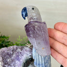 Large Hand - Carved Amethyst Parrot 7.5" Long on an Amethyst Cluster, #3004 - AMPAM - 011 - Brazil GemsBrazil GemsLarge Hand - Carved Amethyst Parrot 7.5" Long on an Amethyst Cluster, #3004 - AMPAM - 011Crystal Birds3004 - AMPAM - 011