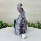 Large Hand - Carved Amethyst Parrot 7.5" Long on an Amethyst Cluster, #3004 - AMPAM - 011 - Brazil GemsBrazil GemsLarge Hand - Carved Amethyst Parrot 7.5" Long on an Amethyst Cluster, #3004 - AMPAM - 011Crystal Birds3004 - AMPAM - 011