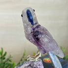 Large Hand - Carved Amethyst Parrot 7.5" Long on an Amethyst Cluster, #3004 - AMPAM - 011 - Brazil GemsBrazil GemsLarge Hand - Carved Amethyst Parrot 7.5" Long on an Amethyst Cluster, #3004 - AMPAM - 011Crystal Birds3004 - AMPAM - 011