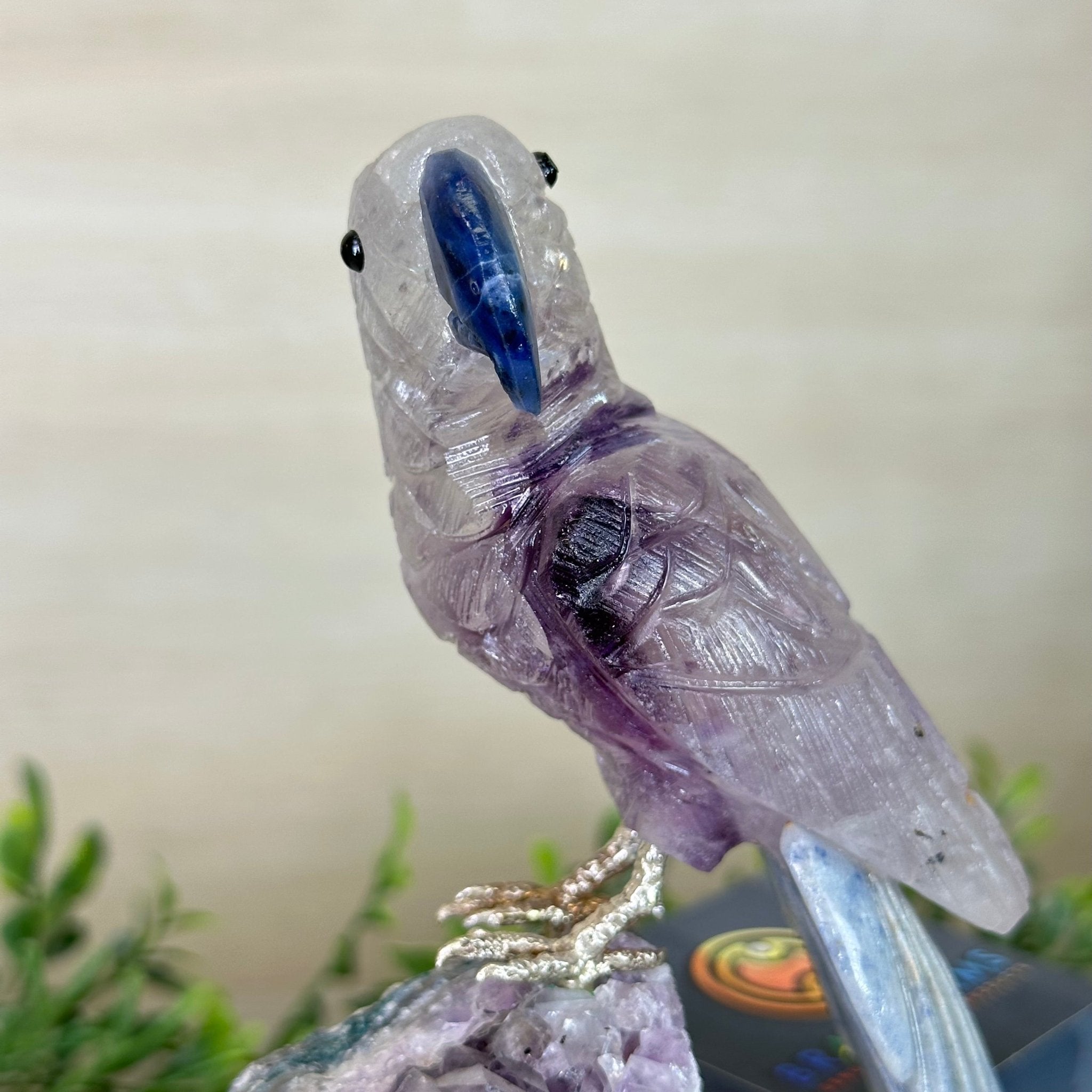 Large Hand - Carved Amethyst Parrot 7.5" Long on an Amethyst Cluster, #3004 - AMPAM - 011 - Brazil GemsBrazil GemsLarge Hand - Carved Amethyst Parrot 7.5" Long on an Amethyst Cluster, #3004 - AMPAM - 011Crystal Birds3004 - AMPAM - 011