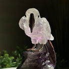 Large Hand - Carved Amethyst Parrot 7.8" Long on an Amethyst Cluster, #3004 - AMPAM - 008 - Brazil GemsBrazil GemsLarge Hand - Carved Amethyst Parrot 7.8" Long on an Amethyst Cluster, #3004 - AMPAM - 008Crystal Birds3004 - AMPAM - 008