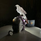 Large Hand - Carved Amethyst Parrot 7.8" Long on an Amethyst Cluster, #3004 - AMPAM - 008 - Brazil GemsBrazil GemsLarge Hand - Carved Amethyst Parrot 7.8" Long on an Amethyst Cluster, #3004 - AMPAM - 008Crystal Birds3004 - AMPAM - 008