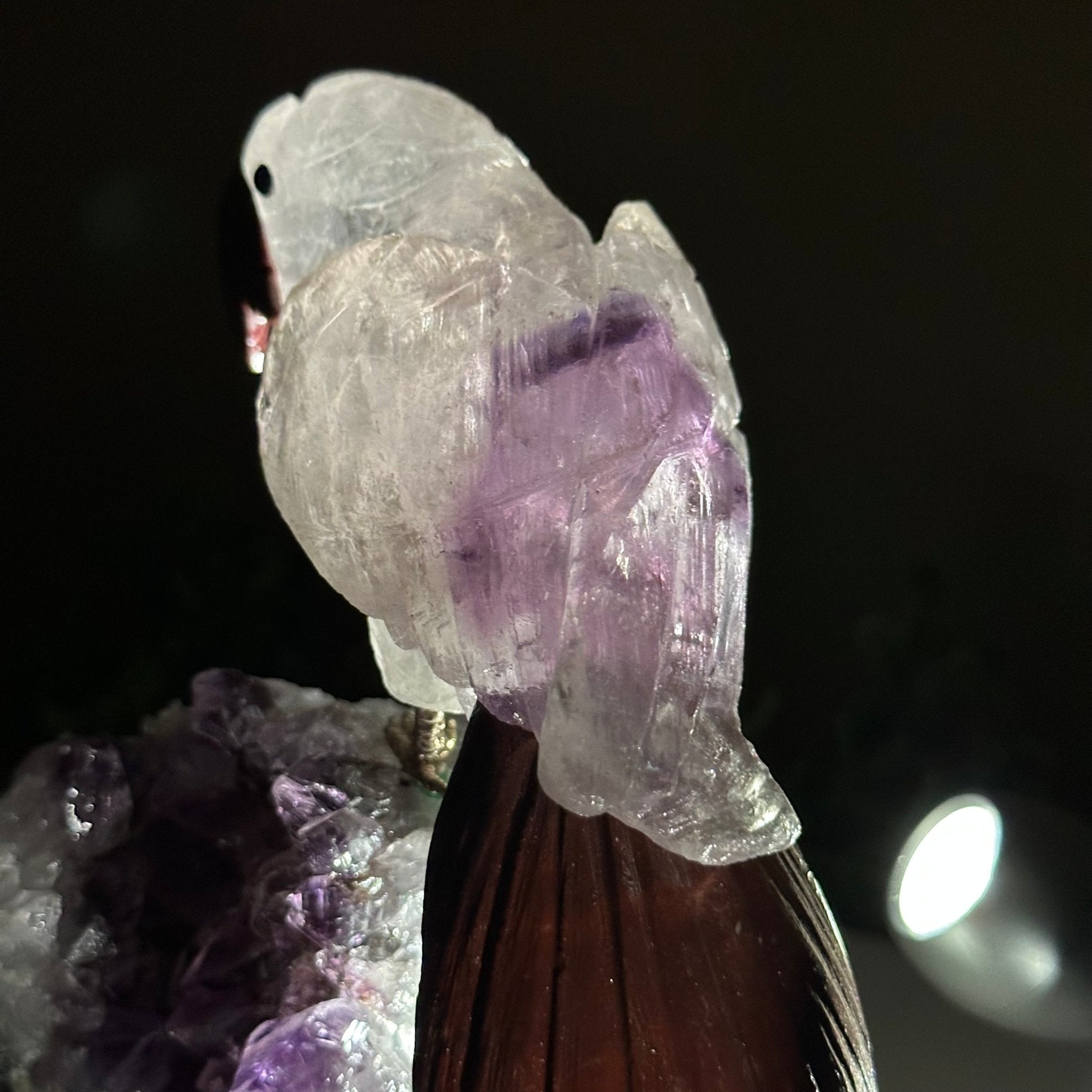 Large Hand - Carved Amethyst Parrot 7.8" Long on an Amethyst Cluster, #3004 - AMPAM - 008 - Brazil GemsBrazil GemsLarge Hand - Carved Amethyst Parrot 7.8" Long on an Amethyst Cluster, #3004 - AMPAM - 008Crystal Birds3004 - AMPAM - 008