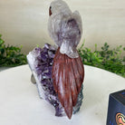 Large Hand - Carved Amethyst Parrot 7.8" Long on an Amethyst Cluster, #3004 - AMPAM - 008 - Brazil GemsBrazil GemsLarge Hand - Carved Amethyst Parrot 7.8" Long on an Amethyst Cluster, #3004 - AMPAM - 008Crystal Birds3004 - AMPAM - 008