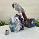 Large Hand - Carved Amethyst Parrot 7.8" Long on an Amethyst Cluster, #3004 - AMPAM - 008 - Brazil GemsBrazil GemsLarge Hand - Carved Amethyst Parrot 7.8" Long on an Amethyst Cluster, #3004 - AMPAM - 008Crystal Birds3004 - AMPAM - 008