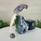 Large Hand - Carved Amethyst Parrot 8.2" Long on an Amethyst Cluster, #3004 - AMPAM - 009 - Brazil GemsBrazil GemsLarge Hand - Carved Amethyst Parrot 8.2" Long on an Amethyst Cluster, #3004 - AMPAM - 009Crystal Birds3004 - AMPAM - 009