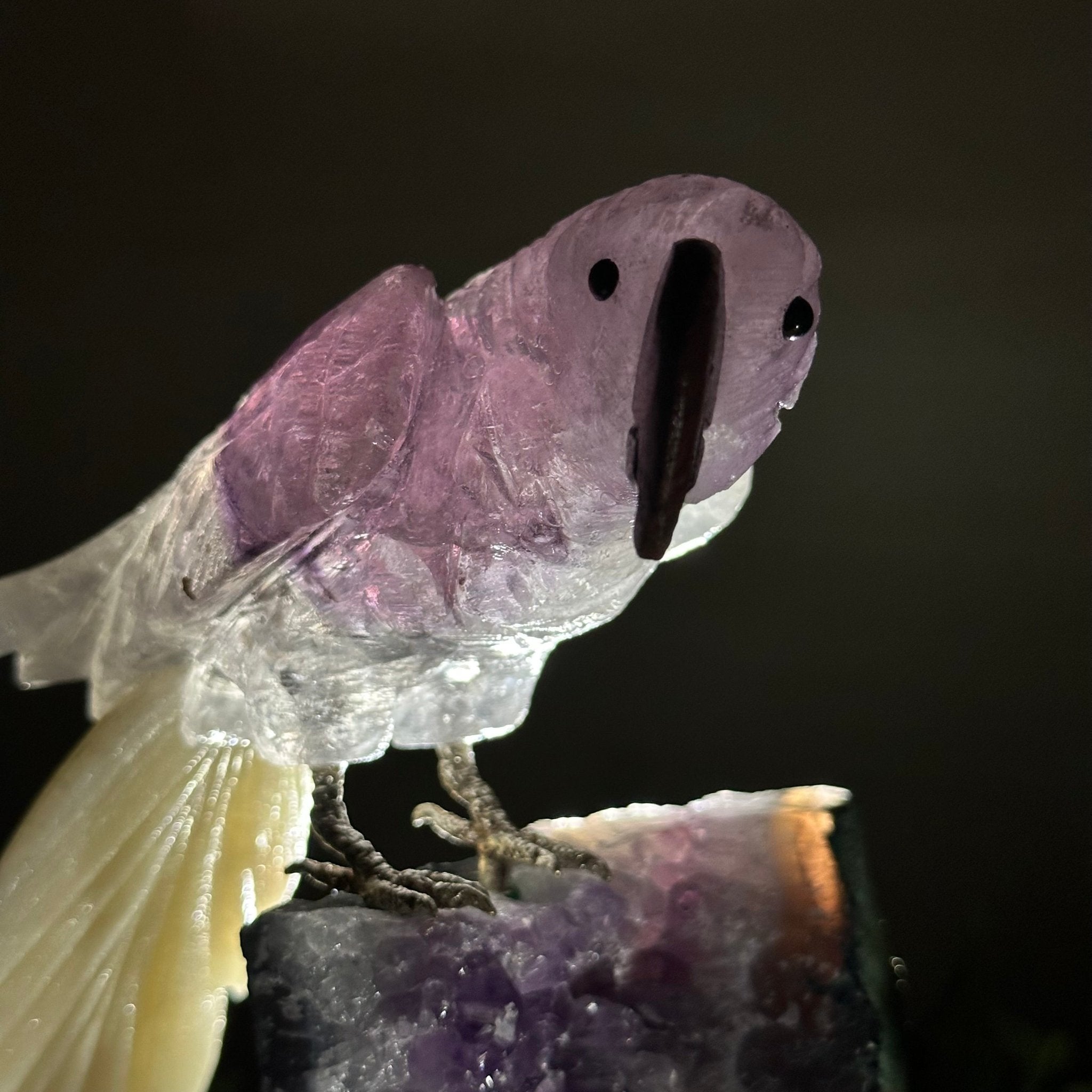 Large Hand - Carved Amethyst Parrot 8.2" Long on an Amethyst Cluster, #3004 - AMPAM - 009 - Brazil GemsBrazil GemsLarge Hand - Carved Amethyst Parrot 8.2" Long on an Amethyst Cluster, #3004 - AMPAM - 009Crystal Birds3004 - AMPAM - 009