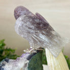 Large Hand - Carved Amethyst Parrot 8.2" Long on an Amethyst Cluster, #3004 - AMPAM - 009 - Brazil GemsBrazil GemsLarge Hand - Carved Amethyst Parrot 8.2" Long on an Amethyst Cluster, #3004 - AMPAM - 009Crystal Birds3004 - AMPAM - 009