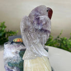 Large Hand - Carved Amethyst Parrot 8.2" Long on an Amethyst Cluster, #3004 - AMPAM - 009 - Brazil GemsBrazil GemsLarge Hand - Carved Amethyst Parrot 8.2" Long on an Amethyst Cluster, #3004 - AMPAM - 009Crystal Birds3004 - AMPAM - 009