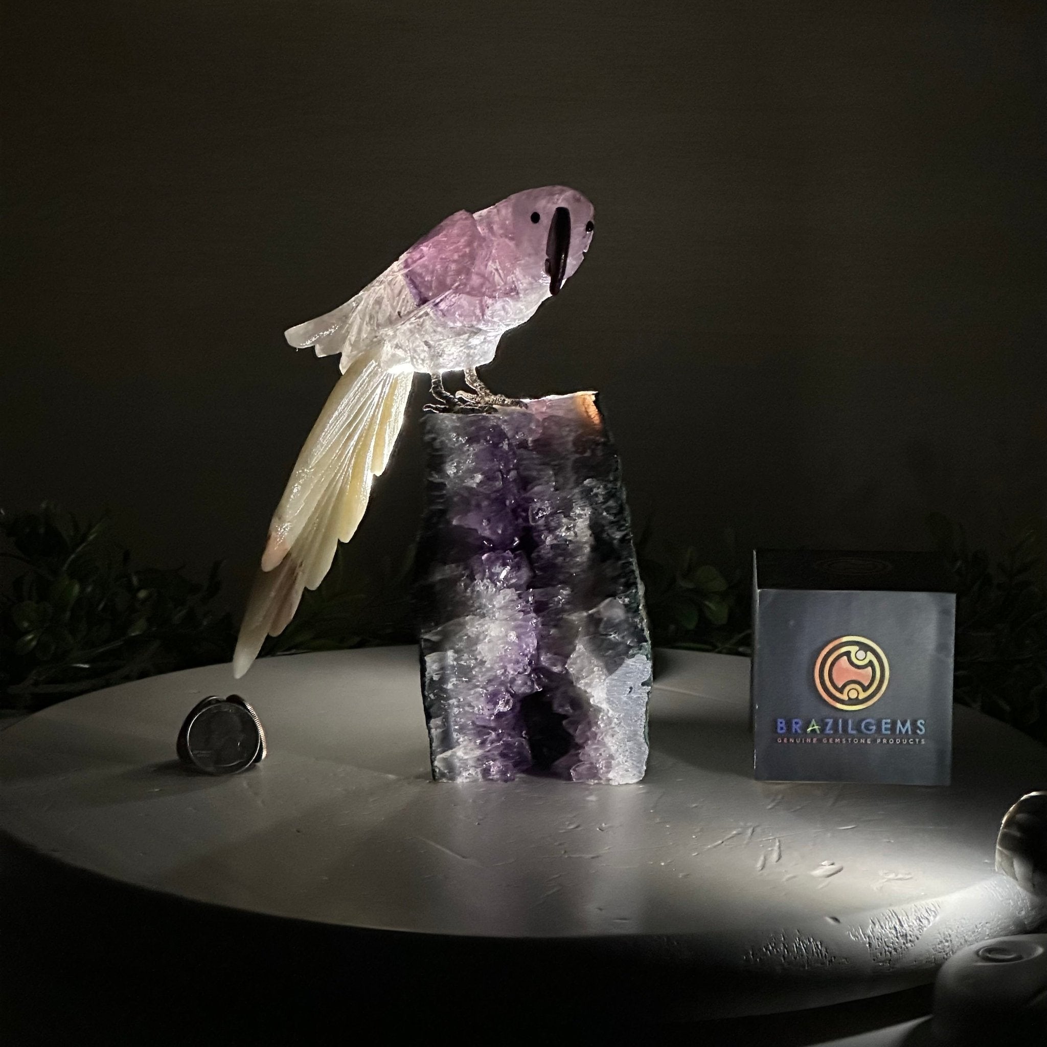 Hand-Carved Amethyst Parrot For Sale by Brazil Gems® #3004-AMPAM-009