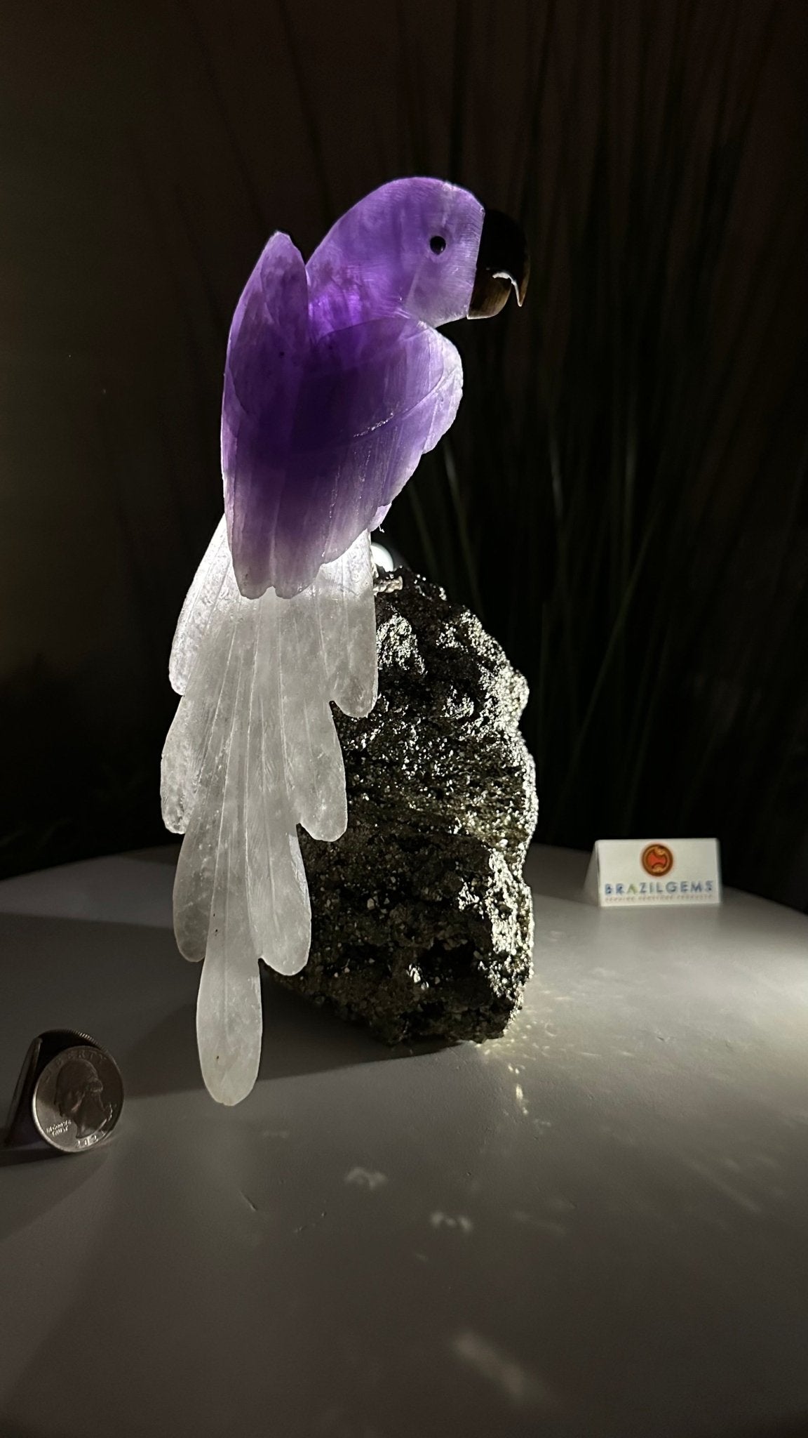 (新品)希少 amethystプレート20.5cm Hand-Carved Amethyst Parrot For Sale Brazil Gems® #3005-AMPPY-051