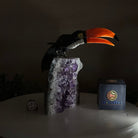 Large Hand - Carved Black Onyx Toucan Bird on an Amethyst Base, 8.1" Tall #3004 - BOTAM - 051 - Brazil GemsBrazil GemsLarge Hand - Carved Black Onyx Toucan Bird on an Amethyst Base, 8.1" Tall #3004 - BOTAM - 051Crystal Birds3004 - BOTAM - 051