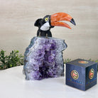 Large Hand - Carved Black Onyx Toucan Bird on an Amethyst Base, 8.1" Tall #3004 - BOTAM - 051 - Brazil GemsBrazil GemsLarge Hand - Carved Black Onyx Toucan Bird on an Amethyst Base, 8.1" Tall #3004 - BOTAM - 051Crystal Birds3004 - BOTAM - 051