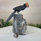 Large Hand - Carved Black Onyx Toucan Bird on an Amethyst Base, 8.1" Tall #3004 - BOTAM - 051 - Brazil GemsBrazil GemsLarge Hand - Carved Black Onyx Toucan Bird on an Amethyst Base, 8.1" Tall #3004 - BOTAM - 051Crystal Birds3004 - BOTAM - 051