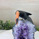 Large Hand - Carved Black Onyx Toucan Bird on an Amethyst Base, 8.1" Tall #3004 - BOTAM - 051 - Brazil GemsBrazil GemsLarge Hand - Carved Black Onyx Toucan Bird on an Amethyst Base, 8.1" Tall #3004 - BOTAM - 051Crystal Birds3004 - BOTAM - 051