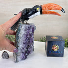 Large Hand - Carved Black Onyx Toucan Bird on an Amethyst Base, 8.1" Tall #3004 - BOTAM - 051 - Brazil GemsBrazil GemsLarge Hand - Carved Black Onyx Toucan Bird on an Amethyst Base, 8.1" Tall #3004 - BOTAM - 051Crystal Birds3004 - BOTAM - 051