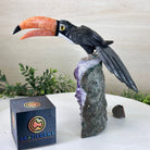 Large Hand - Carved Black Onyx Toucan Bird on an Amethyst Base, 8.1" Tall #3004 - BOTAM - 051 - Brazil GemsBrazil GemsLarge Hand - Carved Black Onyx Toucan Bird on an Amethyst Base, 8.1" Tall #3004 - BOTAM - 051Crystal Birds3004 - BOTAM - 051