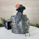 Large Hand - Carved Black Onyx Toucan Bird on an Amethyst Base, 8.1" Tall #3004 - BOTAM - 051 - Brazil GemsBrazil GemsLarge Hand - Carved Black Onyx Toucan Bird on an Amethyst Base, 8.1" Tall #3004 - BOTAM - 051Crystal Birds3004 - BOTAM - 051