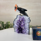 Large Hand - Carved Black Onyx Toucan Bird on an Amethyst Base, 8.1" Tall #3004 - BOTAM - 051 - Brazil GemsBrazil GemsLarge Hand - Carved Black Onyx Toucan Bird on an Amethyst Base, 8.1" Tall #3004 - BOTAM - 051Crystal Birds3004 - BOTAM - 051