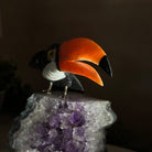 Large Hand - Carved Black Onyx Toucan Bird on an Amethyst Base, 8.1" Tall #3004 - BOTAM - 051 - Brazil GemsBrazil GemsLarge Hand - Carved Black Onyx Toucan Bird on an Amethyst Base, 8.1" Tall #3004 - BOTAM - 051Crystal Birds3004 - BOTAM - 051