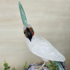 Large Hand - Carved Clear Quartz Cockatoo 8.9" Long on an Amethyst Cluster #3004 - CQCAM - 034 - Brazil GemsBrazil GemsLarge Hand - Carved Clear Quartz Cockatoo 8.9" Long on an Amethyst Cluster #3004 - CQCAM - 034Crystal Birds3004 - CQCAM - 034