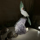 Large Hand - Carved Clear Quartz Cockatoo 8.9" Long on an Amethyst Cluster #3004 - CQCAM - 034 - Brazil GemsBrazil GemsLarge Hand - Carved Clear Quartz Cockatoo 8.9" Long on an Amethyst Cluster #3004 - CQCAM - 034Crystal Birds3004 - CQCAM - 034