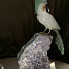 Large Hand - Carved Clear Quartz Cockatoo 8.9" Long on an Amethyst Cluster #3004 - CQCAM - 034 - Brazil GemsBrazil GemsLarge Hand - Carved Clear Quartz Cockatoo 8.9" Long on an Amethyst Cluster #3004 - CQCAM - 034Crystal Birds3004 - CQCAM - 034