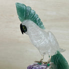 Large Hand - Carved Clear Quartz Cockatoo 9.4" Long on an Amethyst Cluster #3004 - CQCAM - 032 - Brazil GemsBrazil GemsLarge Hand - Carved Clear Quartz Cockatoo 9.4" Long on an Amethyst Cluster #3004 - CQCAM - 032Crystal Birds3004 - CQCAM - 032