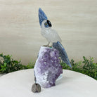 Large Hand - Carved Clear Quartz Cockatoo 9.9" Long on an Amethyst Cluster #3004 - CQCAM - 035 - Brazil GemsBrazil GemsLarge Hand - Carved Clear Quartz Cockatoo 9.9" Long on an Amethyst Cluster #3004 - CQCAM - 035Crystal Birds3004 - CQCAM - 035