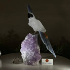 Large Hand - Carved Clear Quartz Cockatoo 9.9" Long on an Amethyst Cluster #3004 - CQCAM - 035 - Brazil GemsBrazil GemsLarge Hand - Carved Clear Quartz Cockatoo 9.9" Long on an Amethyst Cluster #3004 - CQCAM - 035Crystal Birds3004 - CQCAM - 035