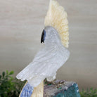 Large Hand - Carved Clear Quartz Cockatoo on an Amethyst Base, 9.1" Tall #3004 - CQCAM - 033 - Brazil GemsBrazil GemsLarge Hand - Carved Clear Quartz Cockatoo on an Amethyst Base, 9.1" Tall #3004 - CQCAM - 033Crystal Birds3004 - CQCAM - 033