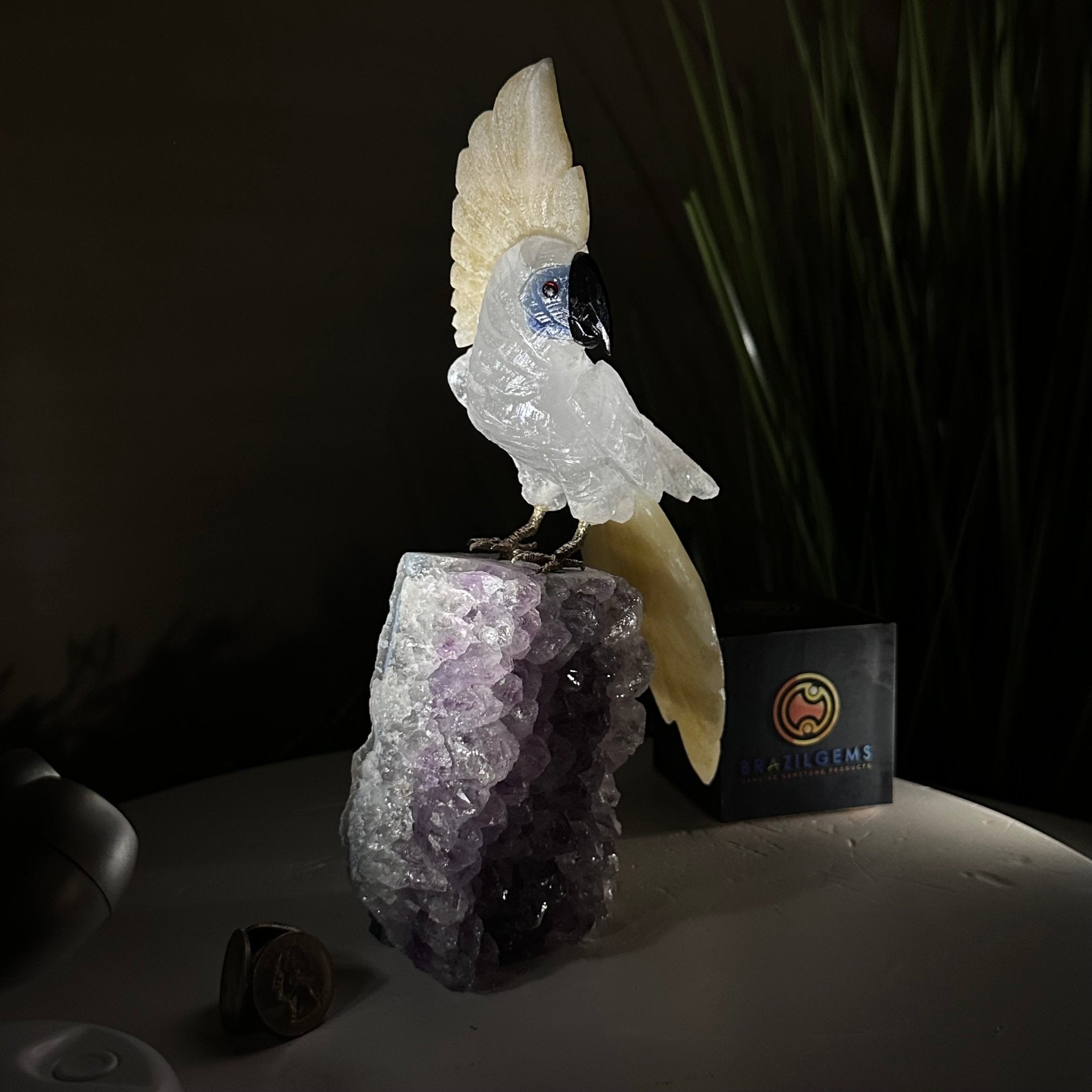 Large Hand - Carved Clear Quartz Cockatoo on an Amethyst Base, 9.1" Tall #3004 - CQCAM - 033 - Brazil GemsBrazil GemsLarge Hand - Carved Clear Quartz Cockatoo on an Amethyst Base, 9.1" Tall #3004 - CQCAM - 033Crystal Birds3004 - CQCAM - 033