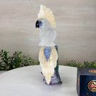 Large Hand - Carved Clear Quartz Cockatoo on an Amethyst Base, 9.1" Tall #3004 - CQCAM - 033 - Brazil GemsBrazil GemsLarge Hand - Carved Clear Quartz Cockatoo on an Amethyst Base, 9.1" Tall #3004 - CQCAM - 033Crystal Birds3004 - CQCAM - 033