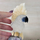 Large Hand - Carved Clear Quartz Cockatoo on an Amethyst Base, 9.1" Tall #3004 - CQCAM - 033 - Brazil GemsBrazil GemsLarge Hand - Carved Clear Quartz Cockatoo on an Amethyst Base, 9.1" Tall #3004 - CQCAM - 033Crystal Birds3004 - CQCAM - 033