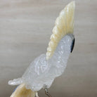 Large Hand - Carved Clear Quartz Cockatoo on an Amethyst Base, 9.1" Tall #3004 - CQCAM - 033 - Brazil GemsBrazil GemsLarge Hand - Carved Clear Quartz Cockatoo on an Amethyst Base, 9.1" Tall #3004 - CQCAM - 033Crystal Birds3004 - CQCAM - 033