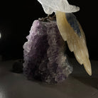 Large Hand - Carved Clear Quartz Cockatoo on an Amethyst Base, 9.1" Tall #3004 - CQCAM - 033 - Brazil GemsBrazil GemsLarge Hand - Carved Clear Quartz Cockatoo on an Amethyst Base, 9.1" Tall #3004 - CQCAM - 033Crystal Birds3004 - CQCAM - 033