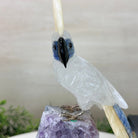 Large Hand - Carved Clear Quartz Cockatoo on an Amethyst Base, 9.1" Tall #3004 - CQCAM - 033 - Brazil GemsBrazil GemsLarge Hand - Carved Clear Quartz Cockatoo on an Amethyst Base, 9.1" Tall #3004 - CQCAM - 033Crystal Birds3004 - CQCAM - 033