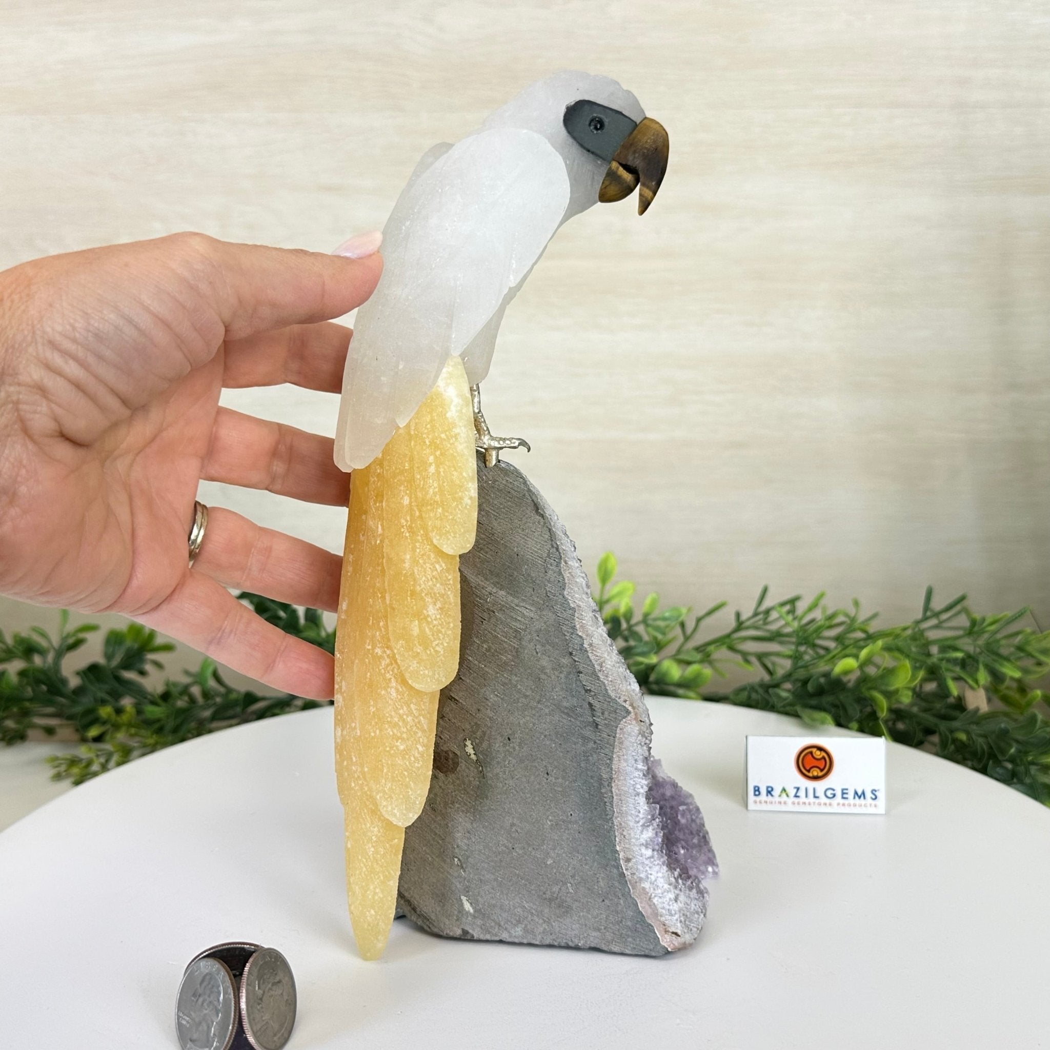 Large Hand - Carved Clear Quartz Parrot 10" Long on Amethyst Cluster #3005 - CQPAM - 048 - Brazil GemsBrazil GemsLarge Hand - Carved Clear Quartz Parrot 10" Long on Amethyst Cluster #3005 - CQPAM - 048Crystal Birds3005 - CQPAM - 048